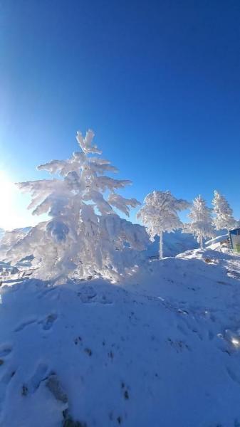 یخبندان سیبریایی در آذربایجان شرقی